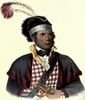 mcintosh-creekchief.jpg