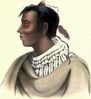 metea-pottawatimiechief.jpg
